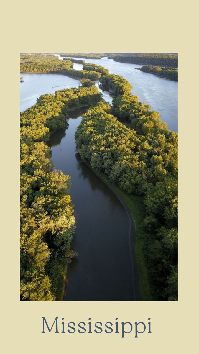 Aerial View of the Mississippi River and Forested Banks
