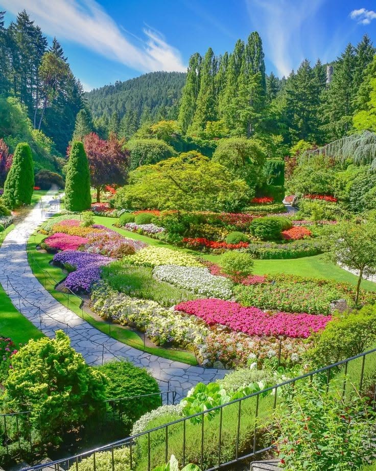 Vibrant Flower Garden with Curved Stone Path and Lush Greenery