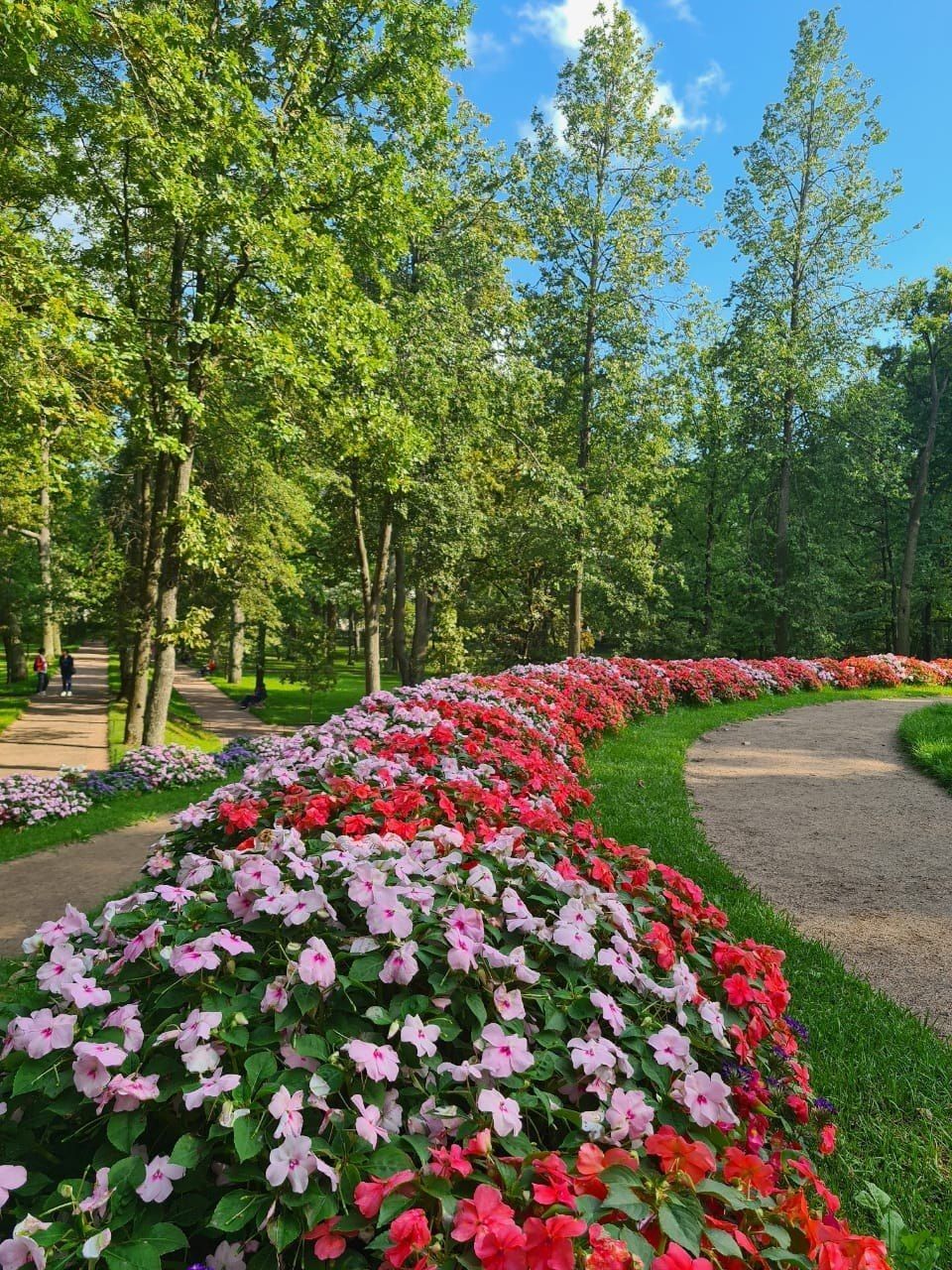 Curved Garden Pathway with Vibrant Pink and Red Flower Borders
