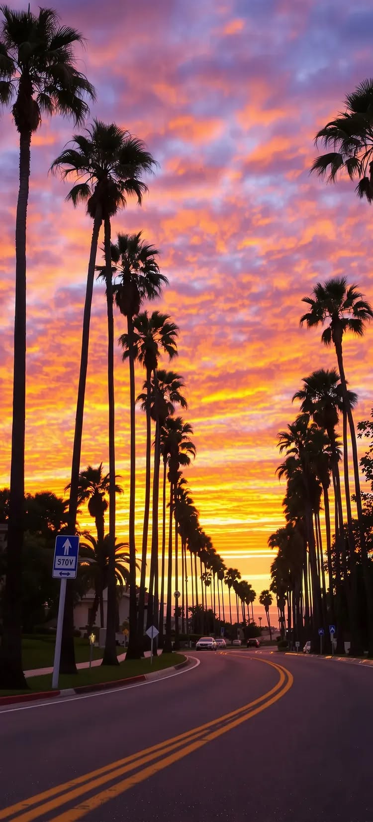 Palm-Lined Street at Sunset with Vibrant Orange and Purple Sky